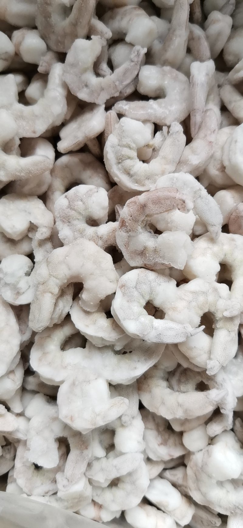 青虾仁加工定制，干冰原料