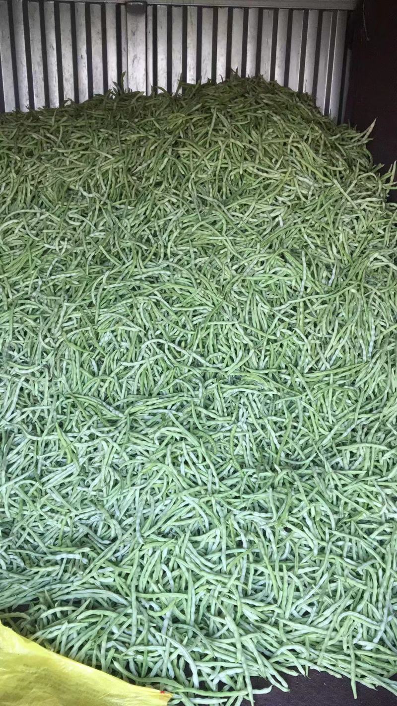 大量供应精品白肉豆，王中王，欢迎各位老板下单