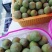 【现摘现卖】青脆李子(产地直销量大从优)一手货源价格公道