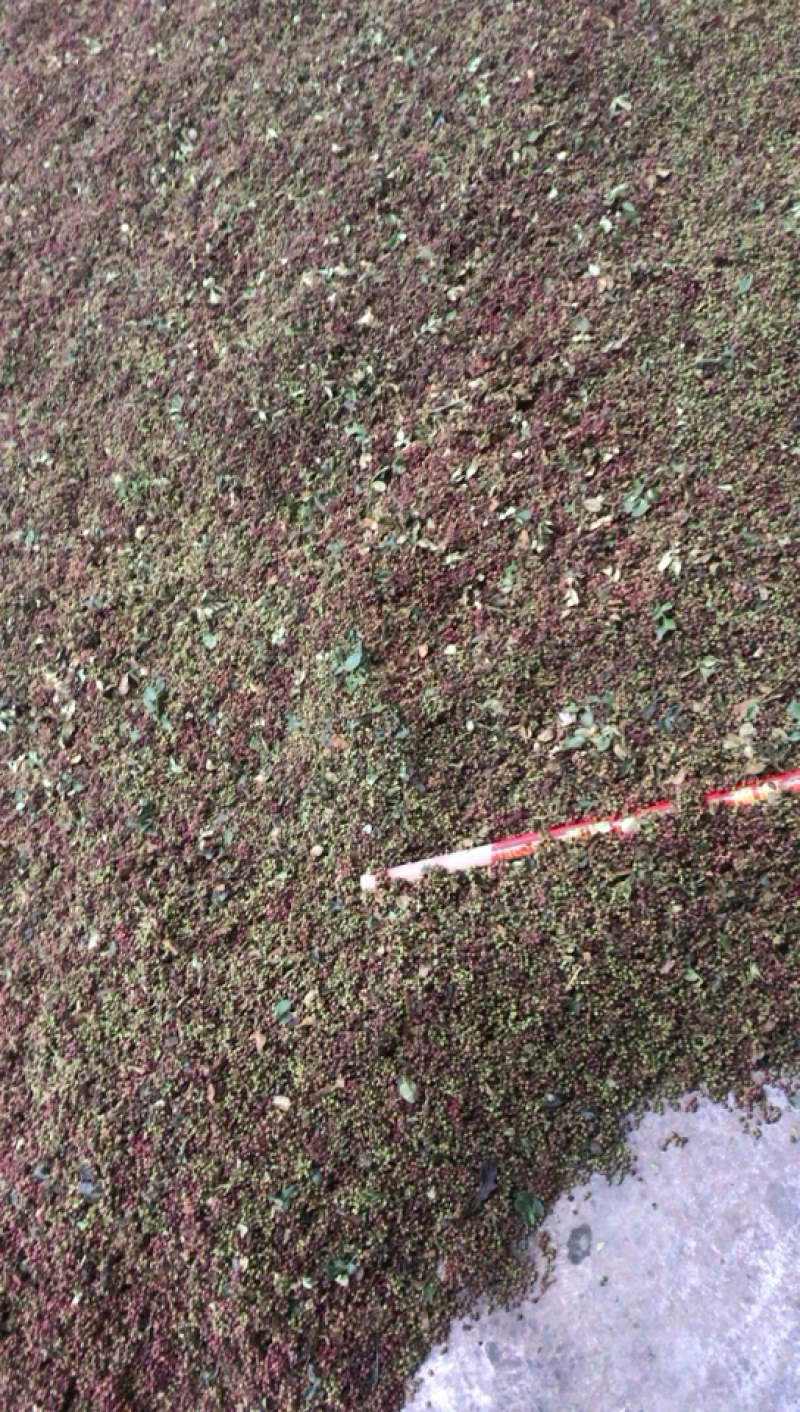 四川干花椒