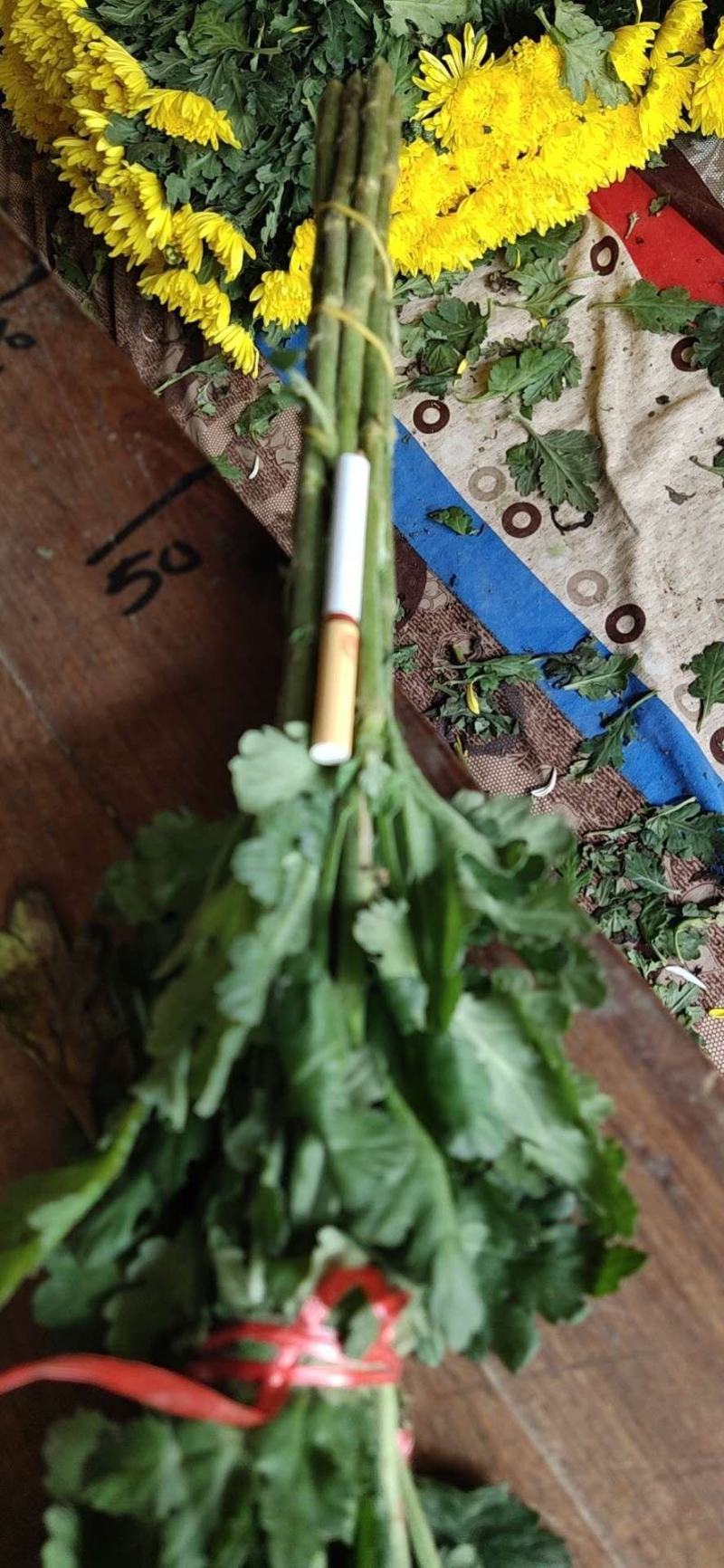 清明节白菊黄菊扫墓祭祀祭奠亲人花鲜花上坟祭祖现采花卉货