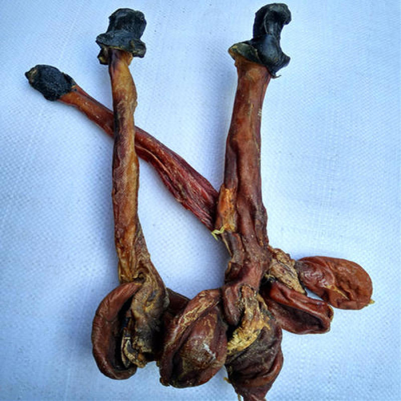 驴鞭，常年批发供应各种规格驴鞭中药材