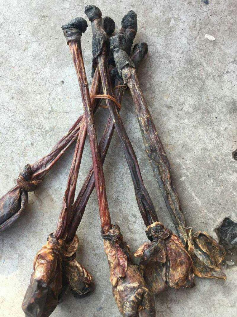 驴鞭，常年批发供应各种规格驴鞭中药材