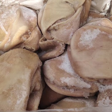 生羊肚，纯干货水分低，