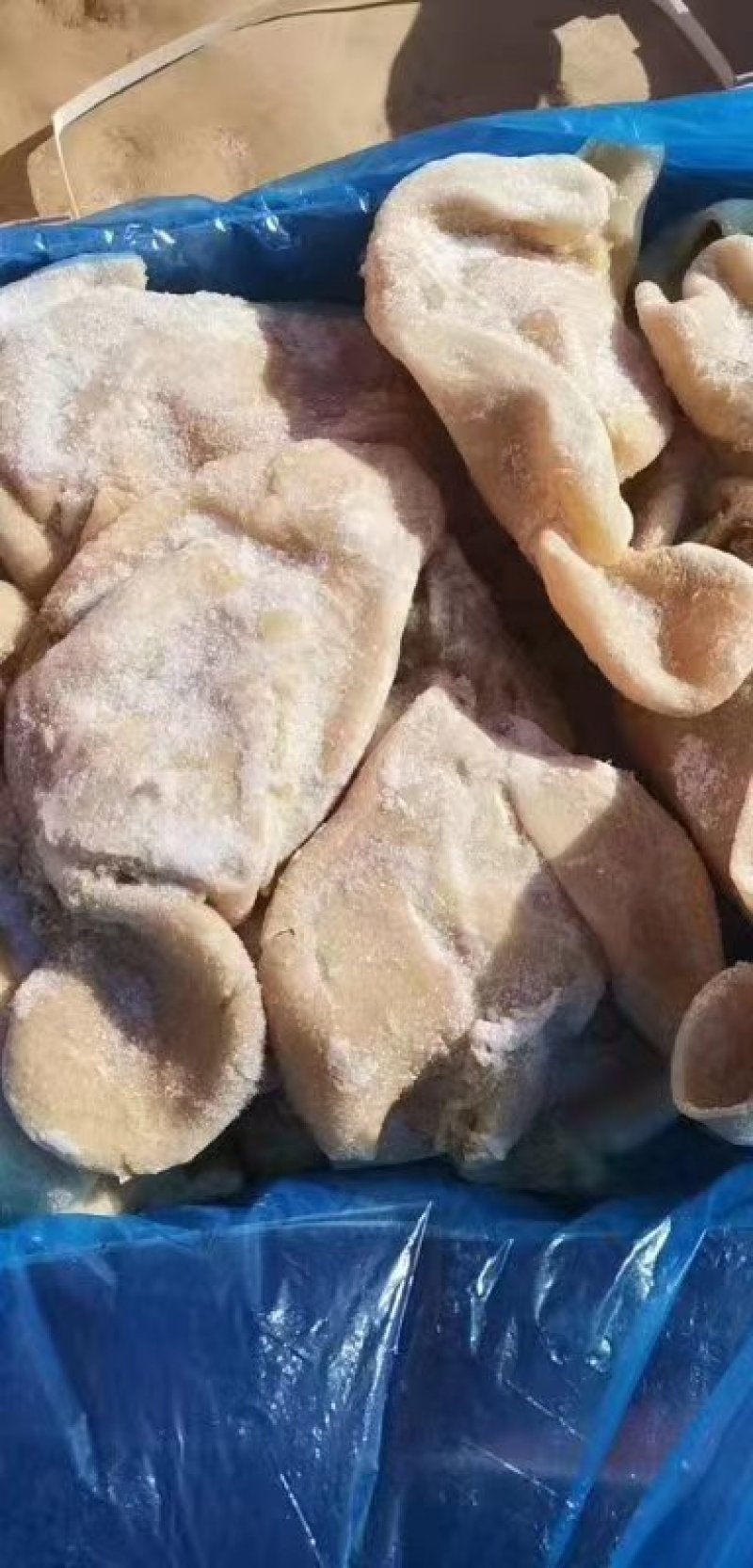 生羊肚，纯干货水分低，