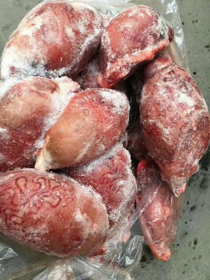 牛宝，大小均匀，质量稳定