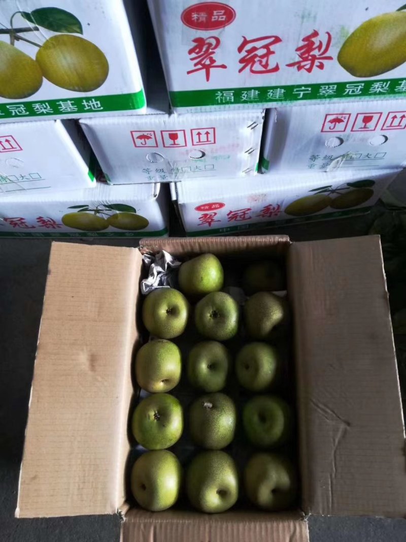 翠冠梨大量上市
