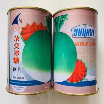 杂交冰糖萝卜水果型种子皮薄瓤红味甜多汁爽囗含糖量高