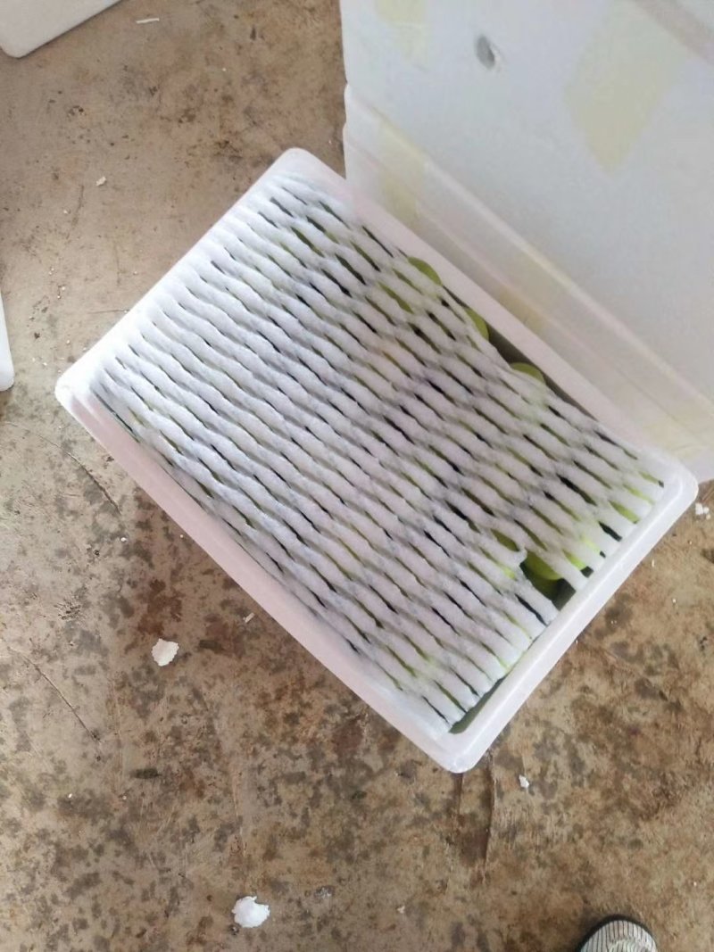 早白蜜