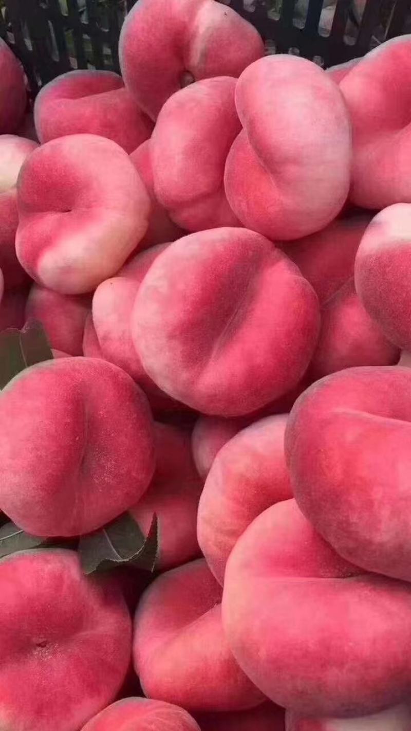 蟠桃