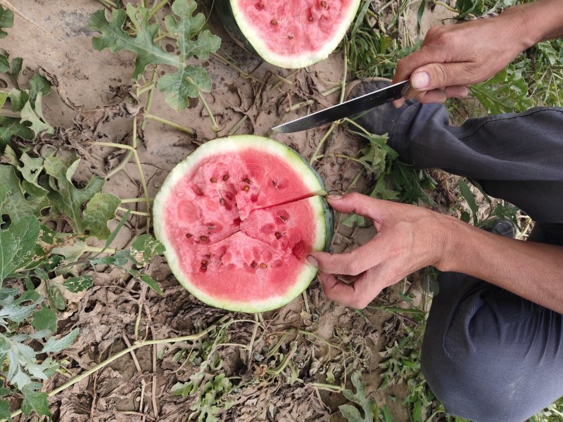 甜西瓜