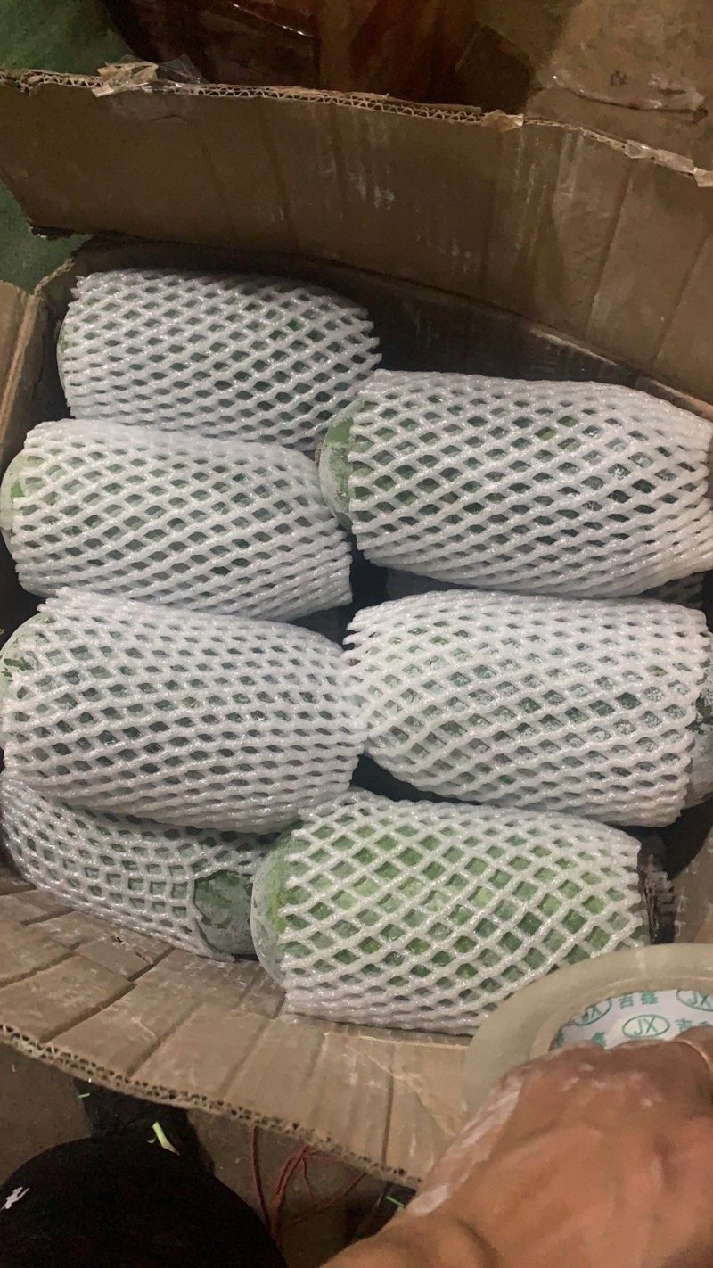 云南特产翡翠冬瓜