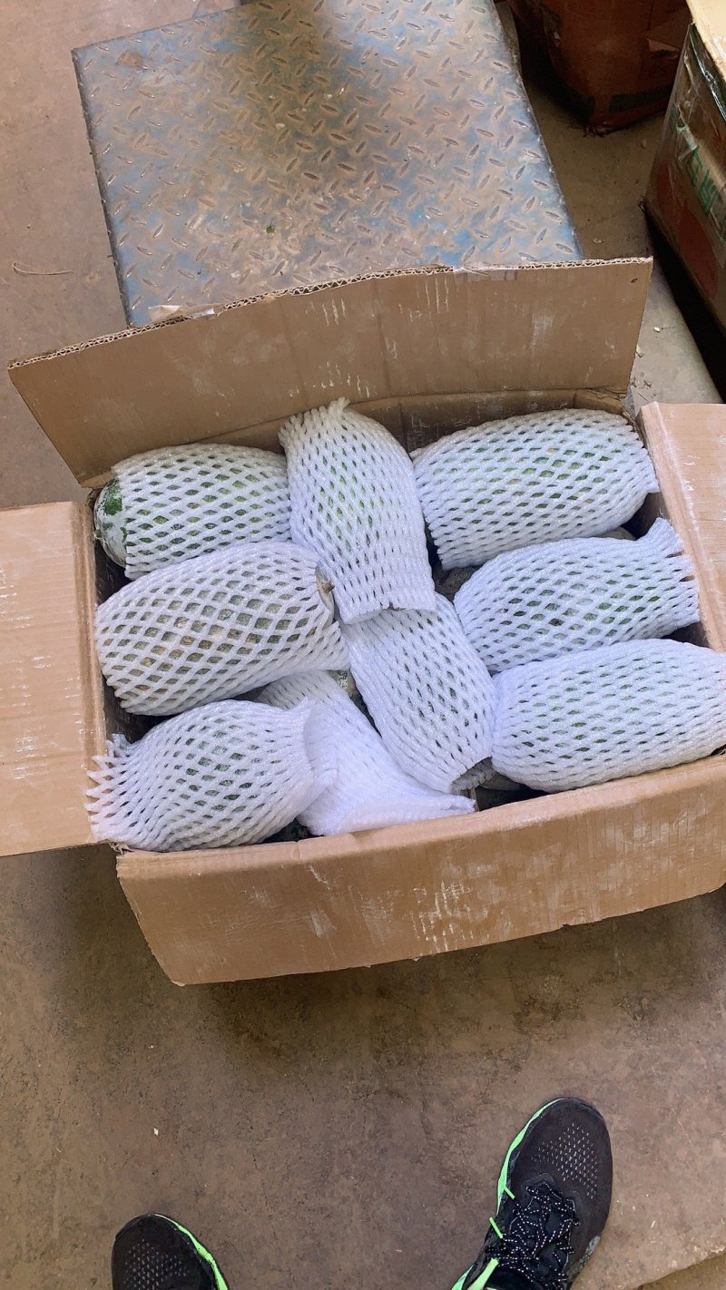 云南特产翡翠冬瓜
