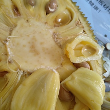 广东菠萝蜜，有常有，金包，奶奶糖等品种，