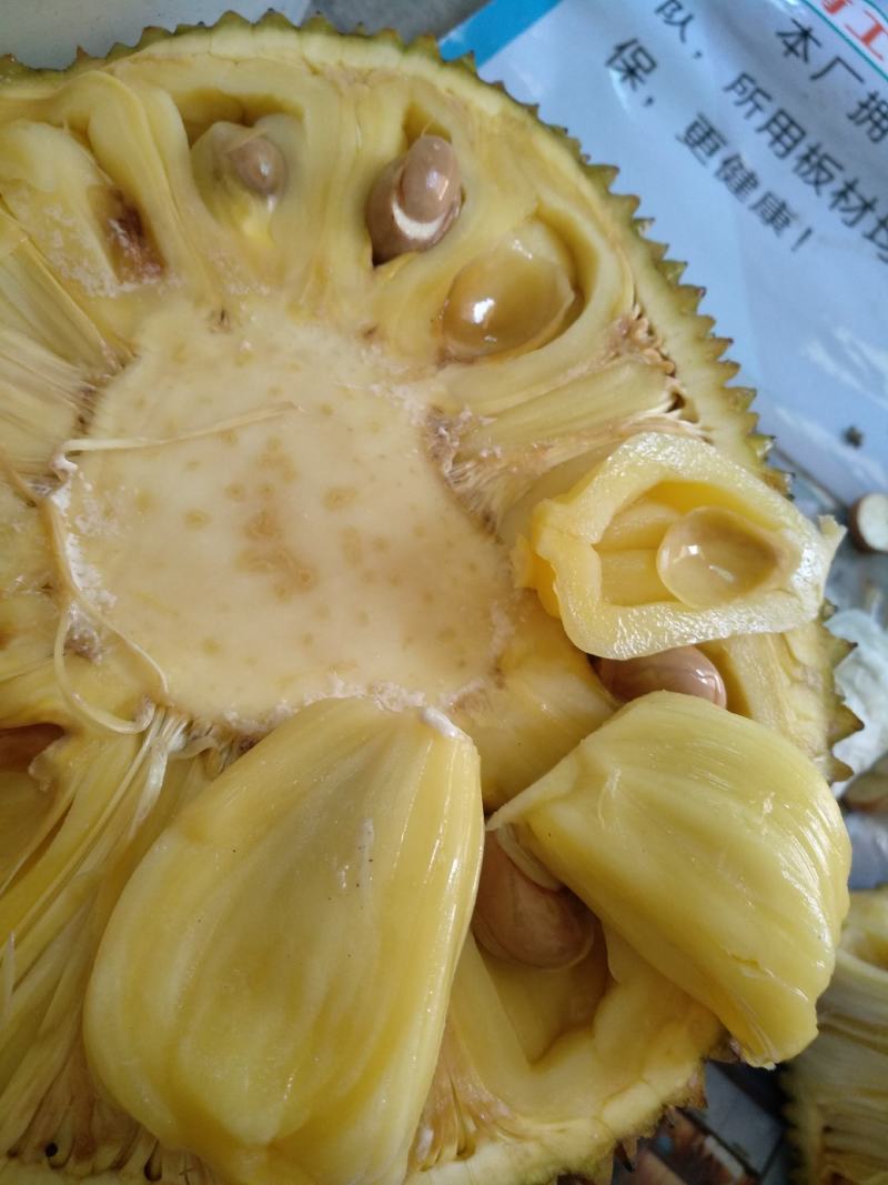 广东菠萝蜜，有常有，金包，奶奶糖等品种，