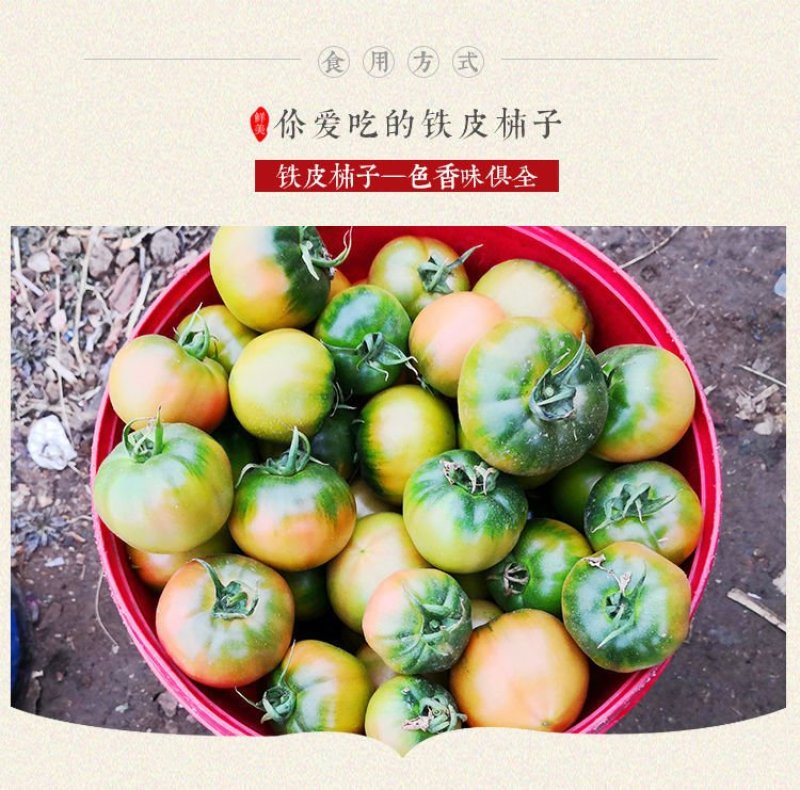口感西红柿水果番茄潍坊产地直供
