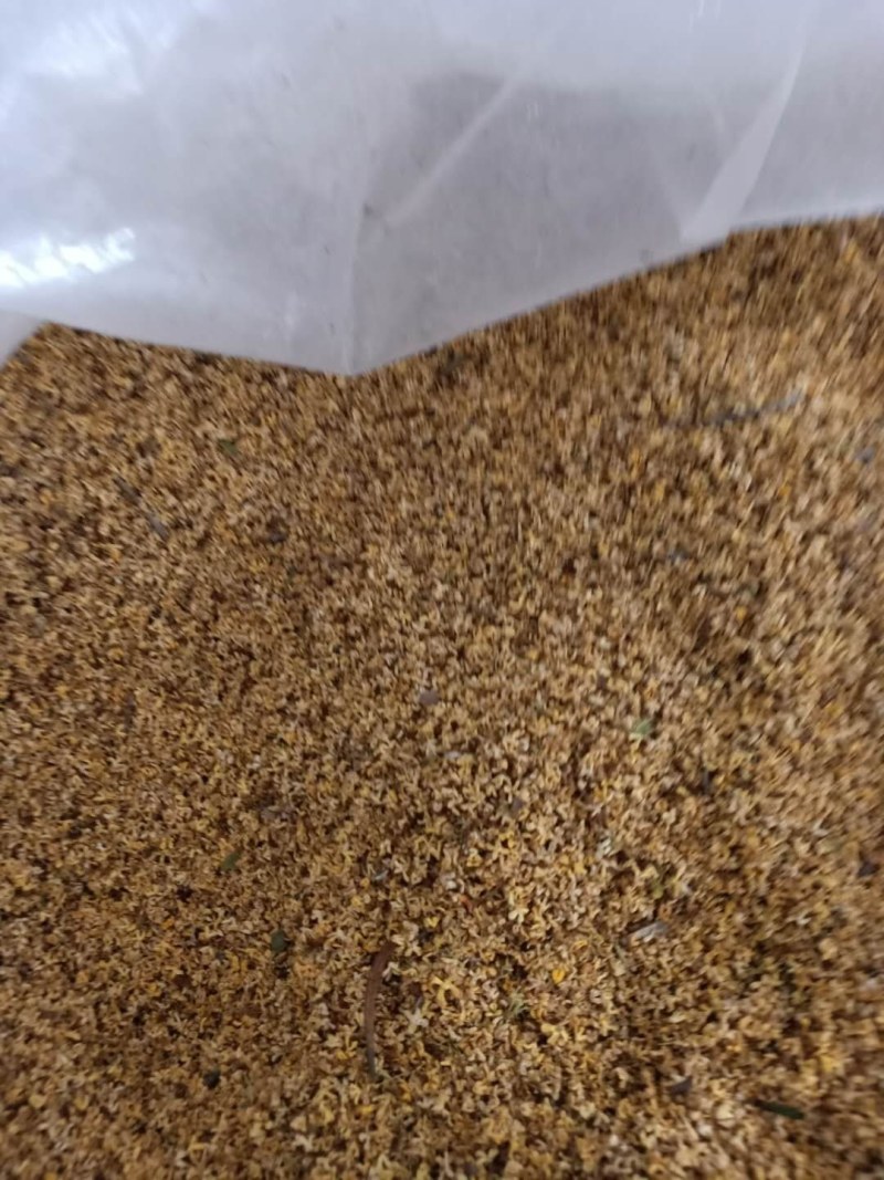 桂花产地直销，一手货源，价格优，整件包邮！