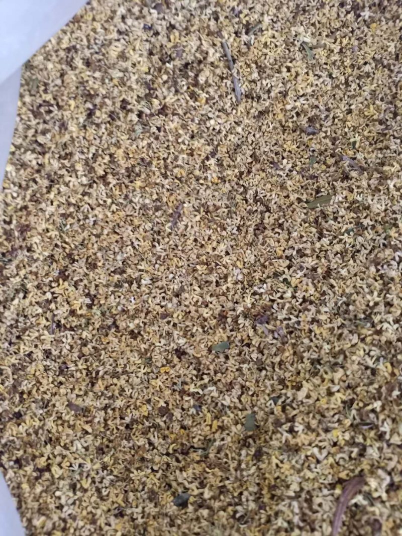 桂花产地直销，一手货源，价格优，整件包邮！