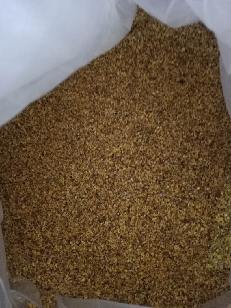 桂花产地直销，一手货源，价格优，整件包邮！