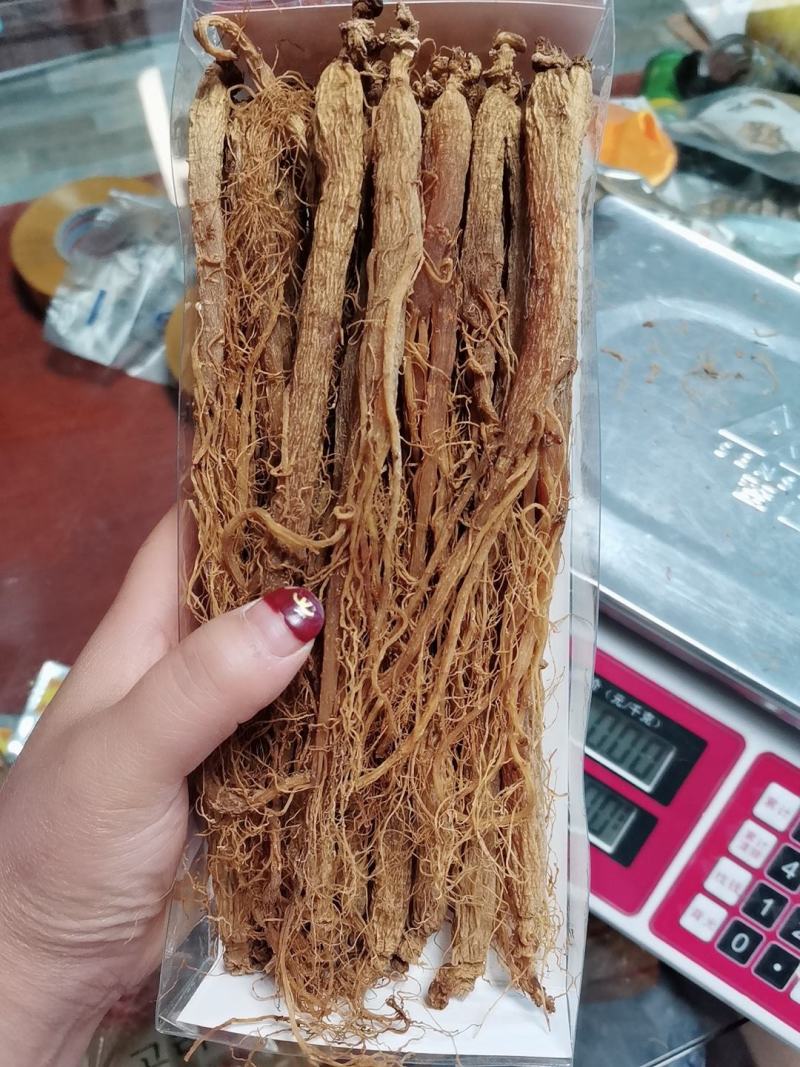 长白山人参红参红全须一手货源批发，加工厂直销
