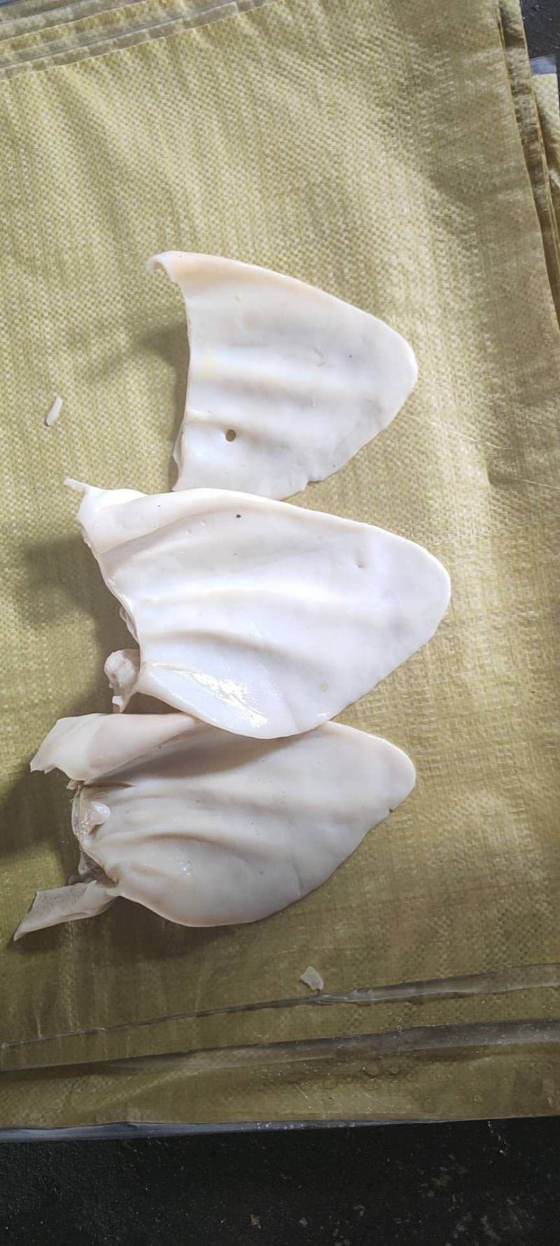 生熟纯干牛耳，牛耳丝厂家直销，，，，，，