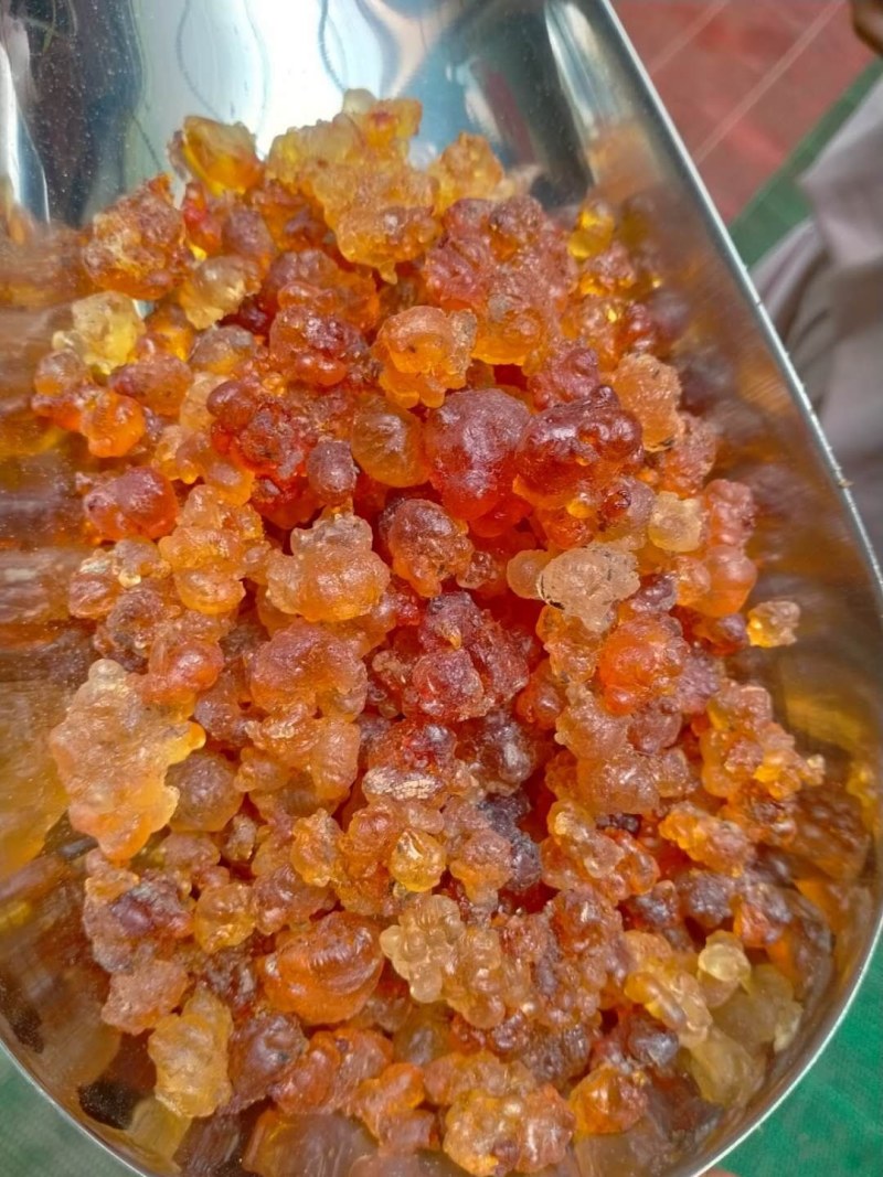 桃胶！一手货源大货批发，规格齐全，价格优！整件物流包邮