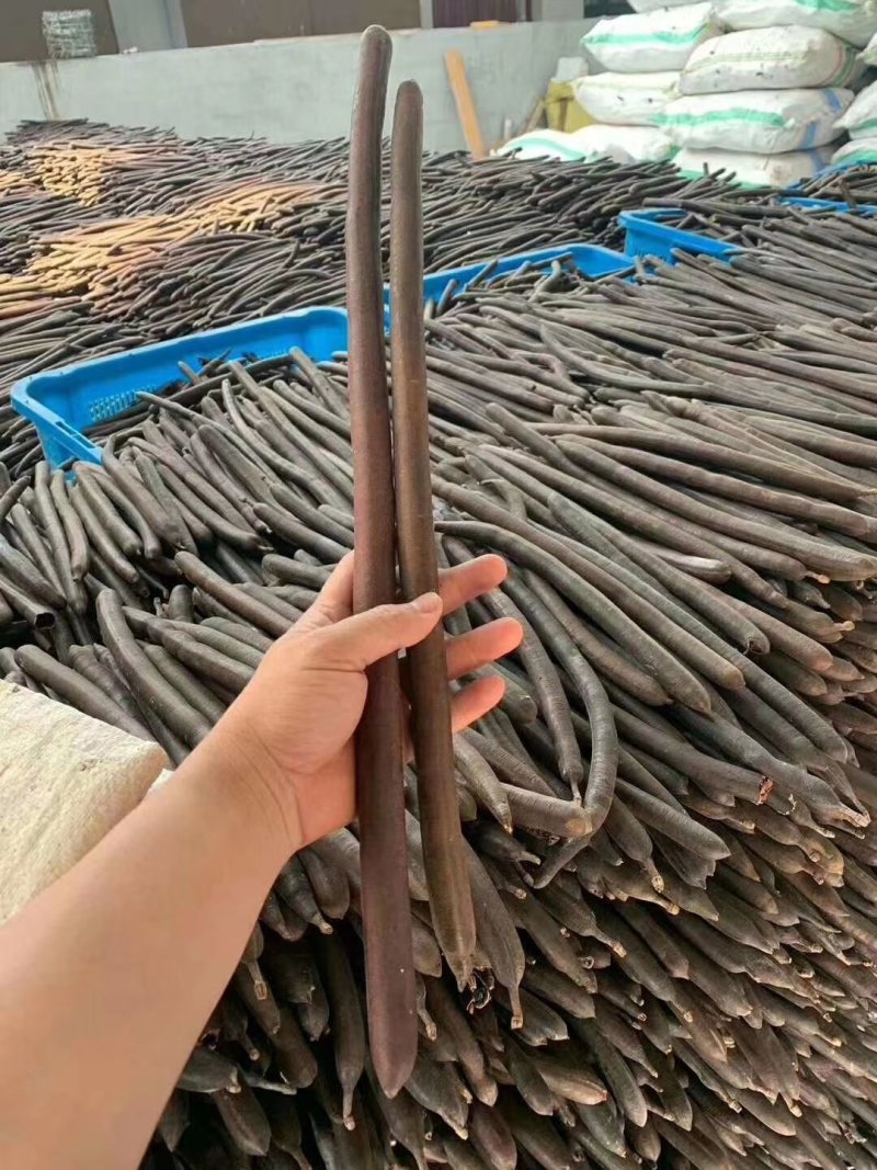 便便果