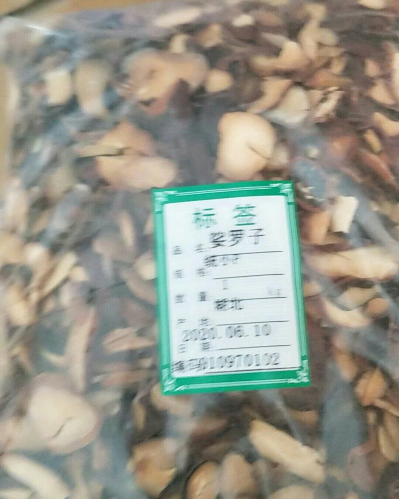 娑罗子，常年批发供应娑罗子，中药材