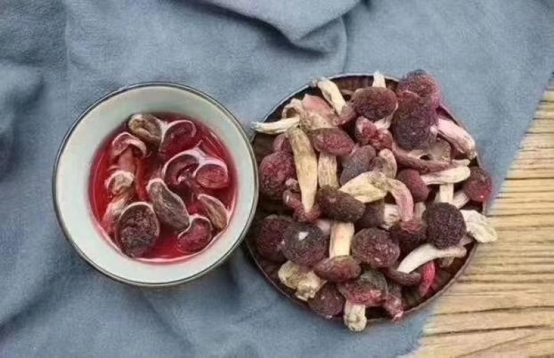 云南优质野生红菇，量大从优，欢迎咨询