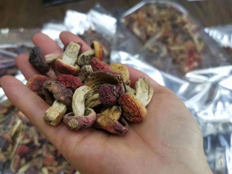 云南优质野生红菇，量大从优，欢迎咨询