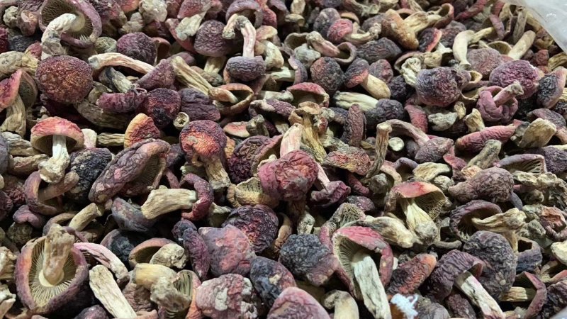 云南优质野生红菇，量大从优，欢迎咨询