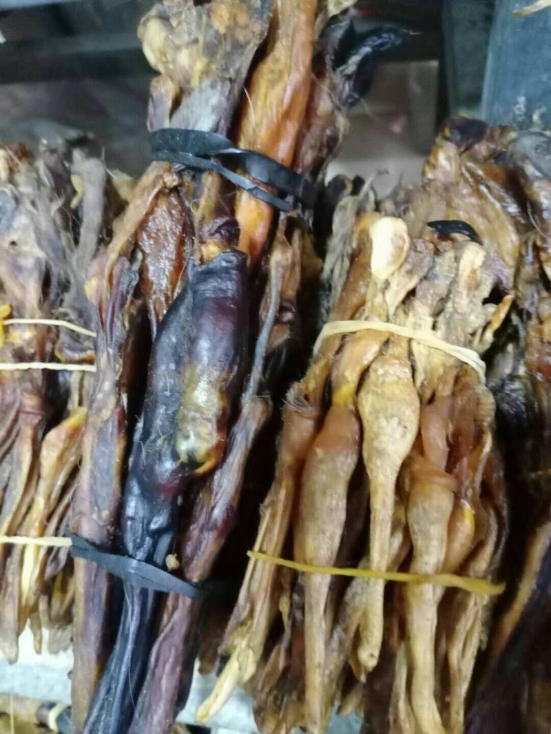 狗鞭，常年批发供应各种规格狗鞭中药材