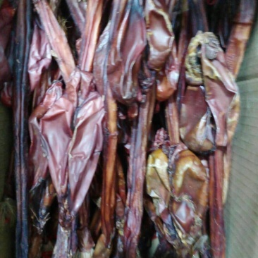 牛鞭，常年批发供应各种规格驴鞭中药材