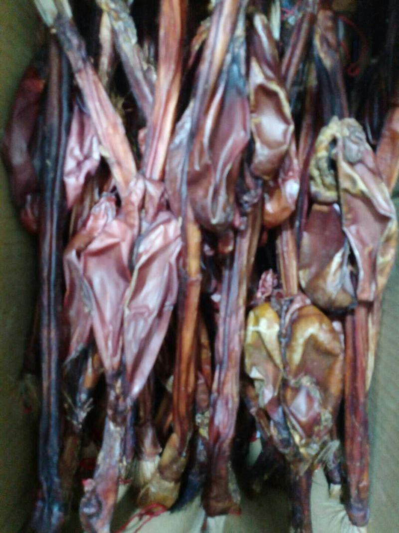 牛鞭，常年批发供应各种规格驴鞭中药材
