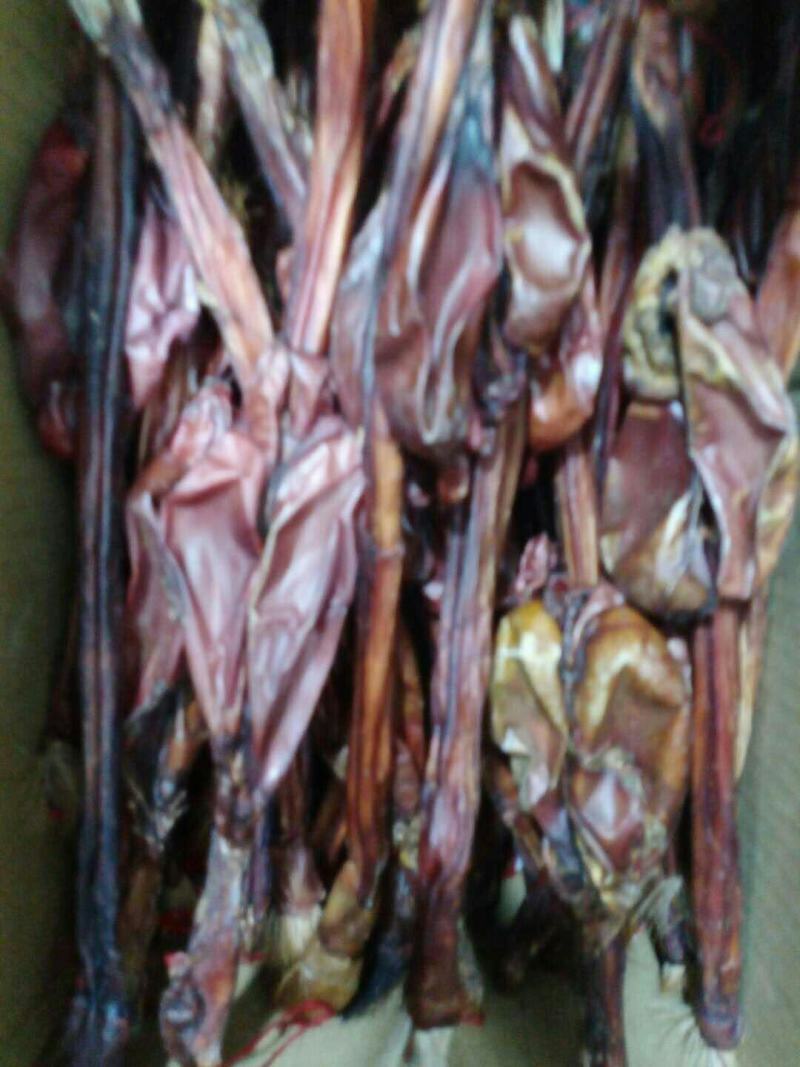 牛鞭，常年批发供应各种规格驴鞭中药材