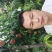 陕西礼泉膜袋秦王大量上市，欢迎前来采购