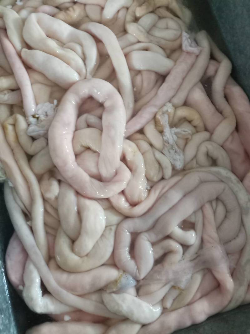 羊肥肠，免洗，量大优惠，内蒙草地羊，优质产品