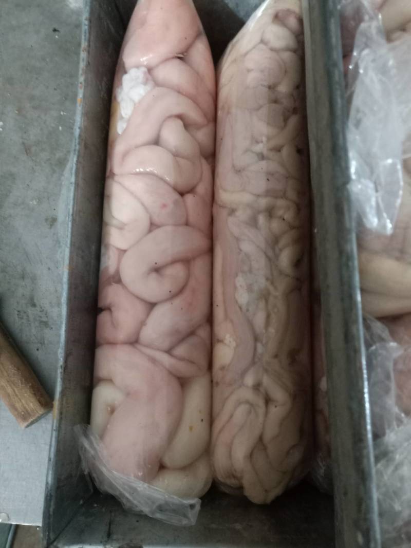 羊肥肠，免洗，量大优惠，内蒙草地羊，优质产品
