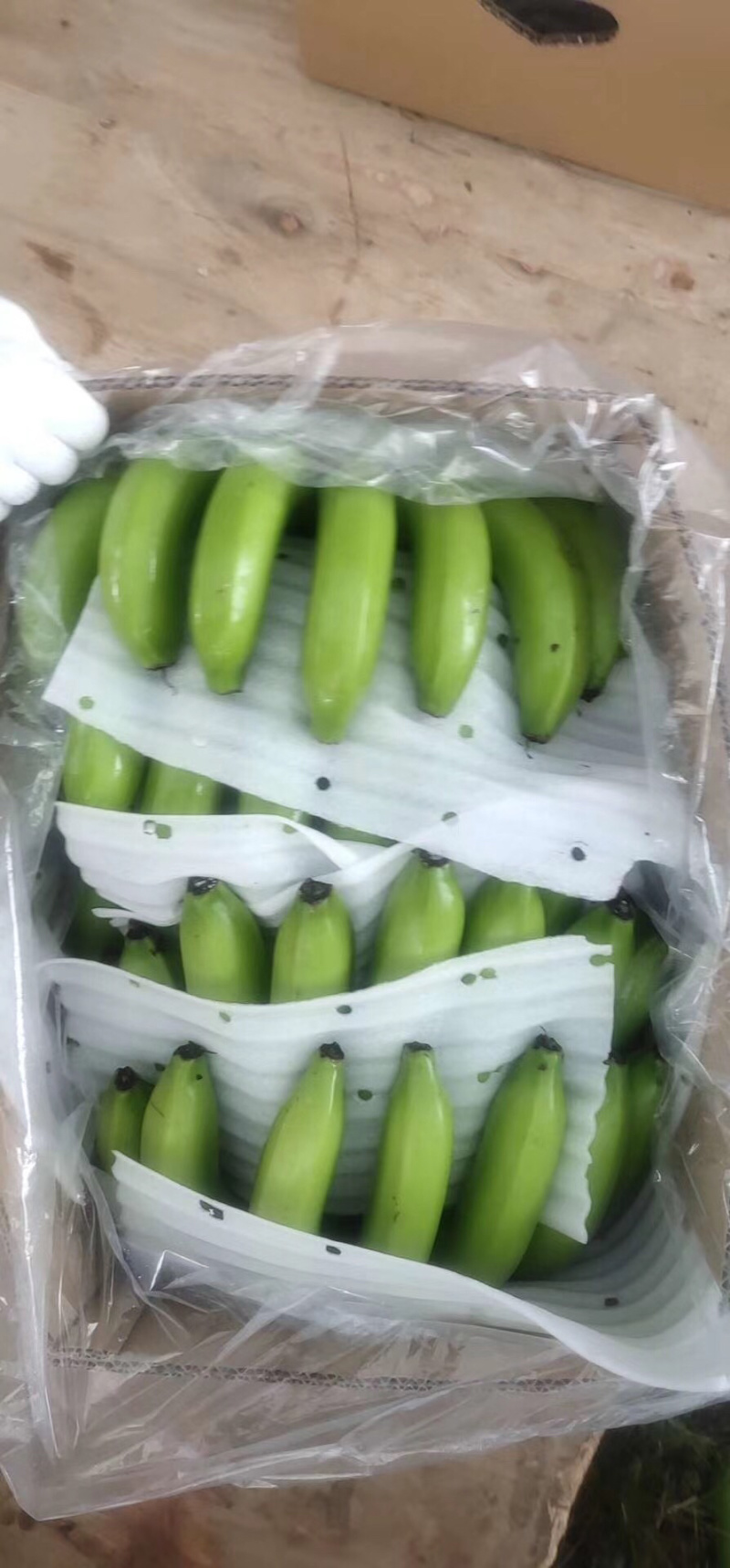 香蕉🍌香蕉🍌香蕉🍌大量现货供应
