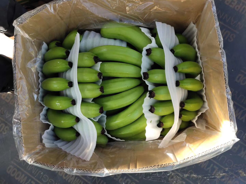 香蕉🍌香蕉🍌香蕉🍌大量现货供应