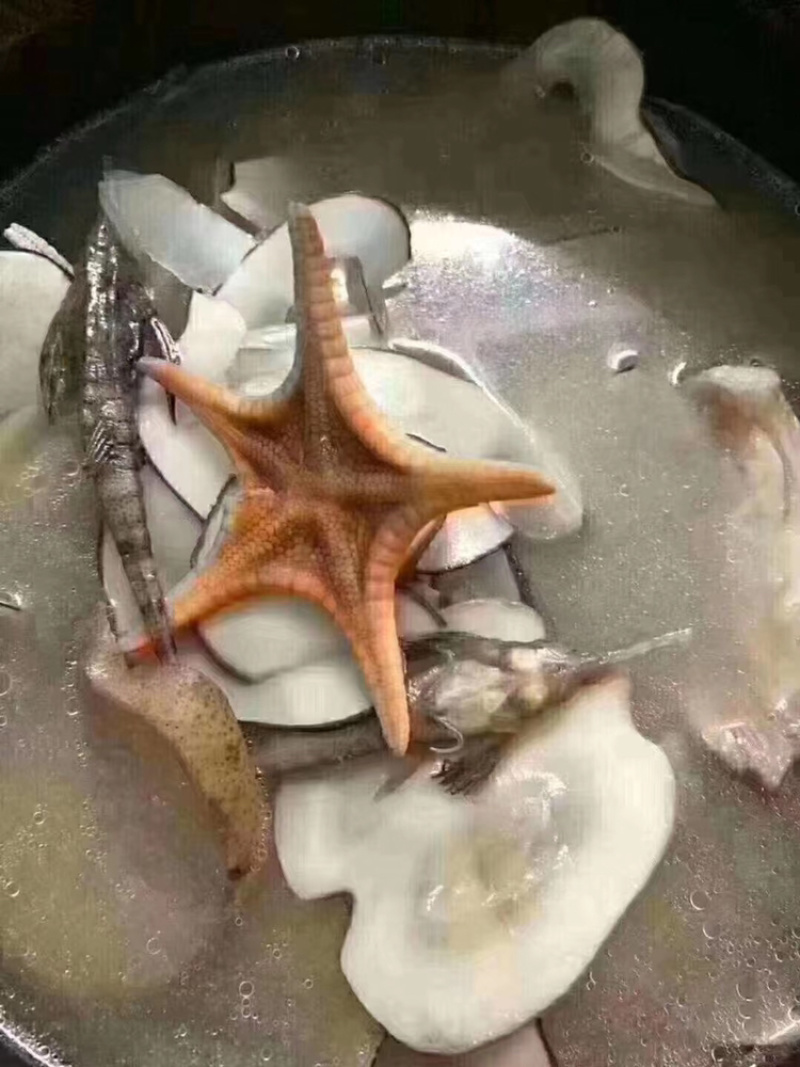 海底椰片夏日滋润百搭汤普甜味海底椰片