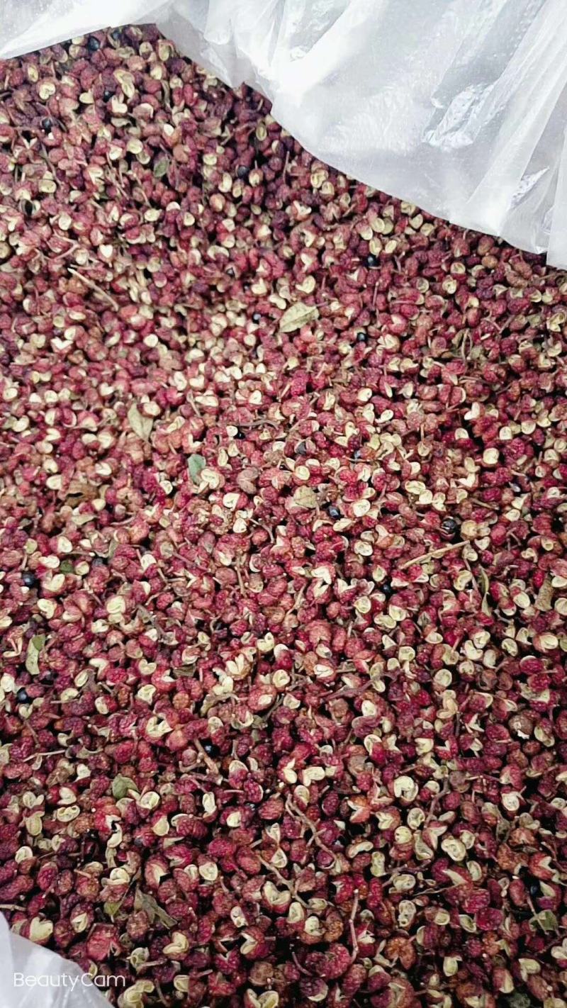 新鲜花椒，贡椒，汉源娃娃椒，产地直供，代发整车全国，