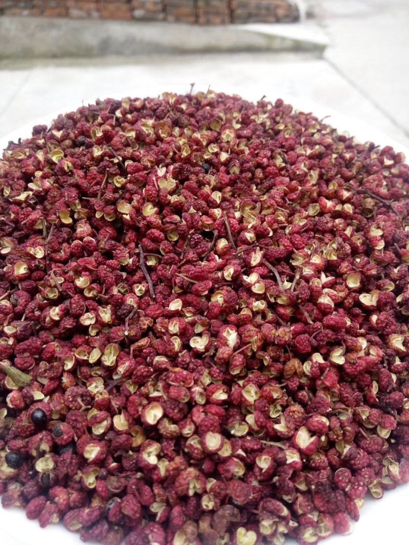新鲜花椒，贡椒，汉源娃娃椒，产地直供，代发整车全国，