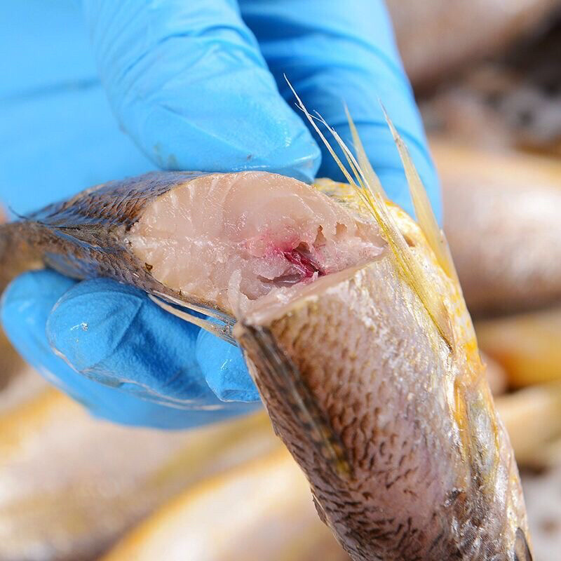 精品鲜冻小黄鱼黄海鲜活小黄鱼黄花鱼