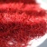 藏红花。藏红花正品特级西藏泡水喝伊朗红花正宗西红花茶番红