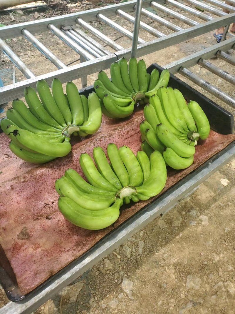 香蕉