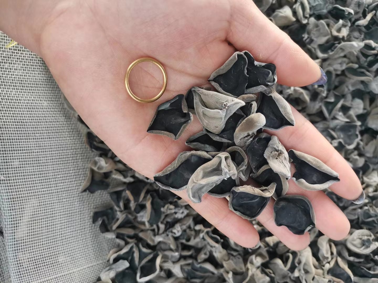 耳石症患者的饮食建议示意图,包含推荐与禁忌食物 耳石症患者饮食建议图解