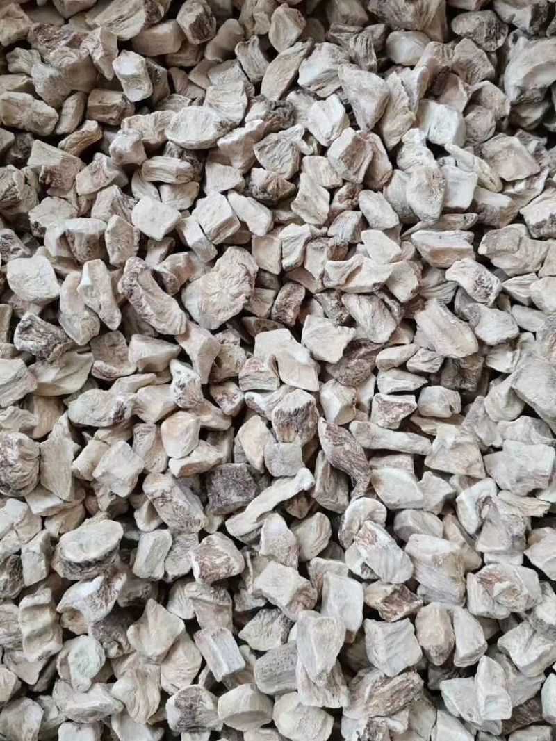 菊苣根【包邮】三斤起发货可批量可零售量大从优