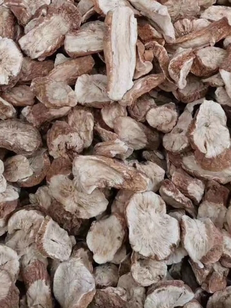 菊苣根【包邮】三斤起发货可批量可零售量大从优