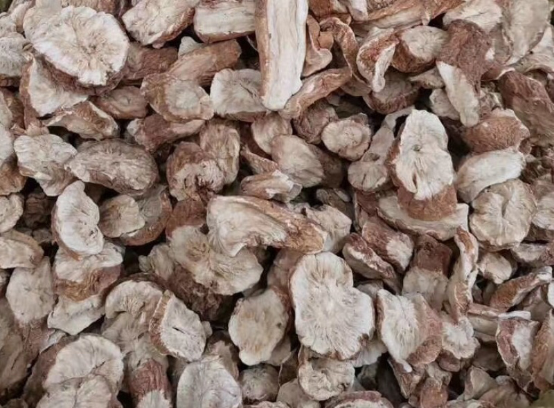 菊苣根【包邮】三斤起发货可批量可零售量大从优